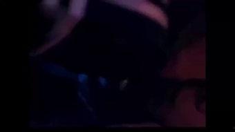 走狗周柏豪创作背景