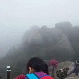 林丽芳个人资料,才华横溢的杰出女性，成就非凡的人生轨迹  第2张