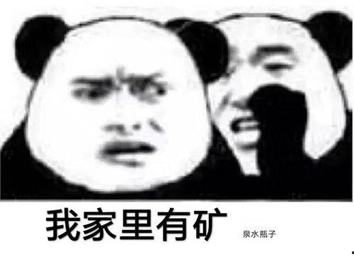 淑女的表情包,展现优雅与幽默的瞬间